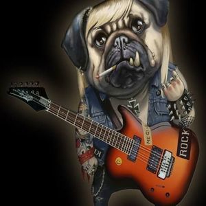 Meet your Posher, David